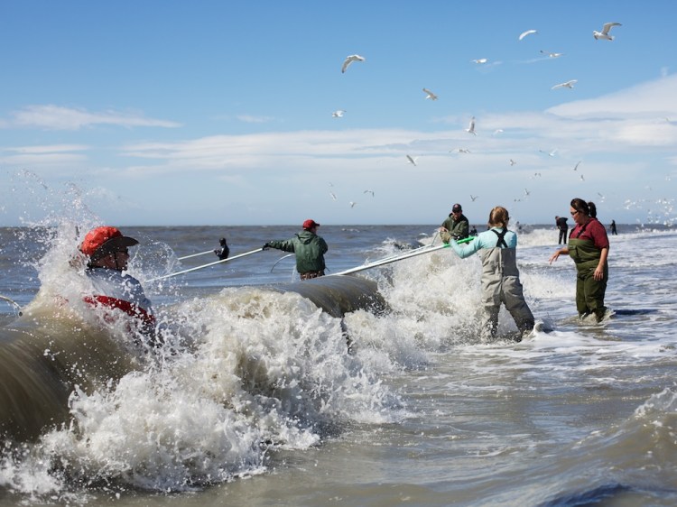 People fishing on the Kenai river, getting pounded by the surf holding their nets.